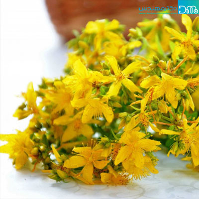 علف چای و افسردگی alaf chay va afsordegi