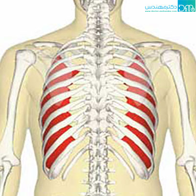علت درد قفسه سينه elat dard dar ghafase sine