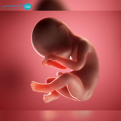 چگونه بفهمیم کیسه آب پاره شده 4 ab5.jpg