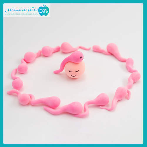تعیین جنسیت بچه