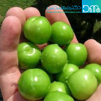 فواید گوجه سبز برای سلامتی alooche