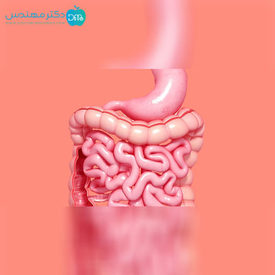 سرطان روده بزرگ 8 rode7.jpg